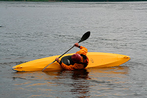 эскимосский переворот